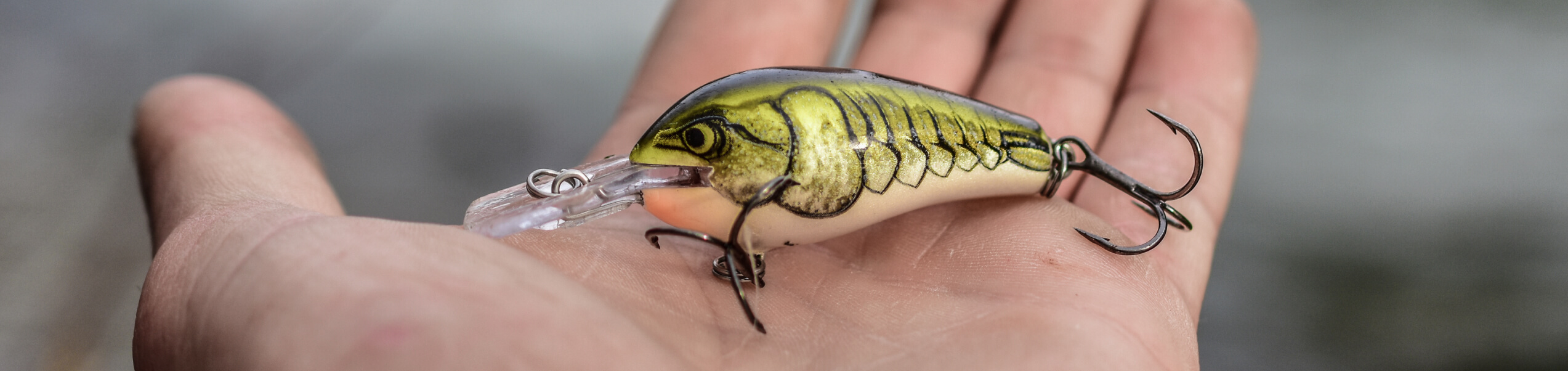 Crankbaits Crankbaits