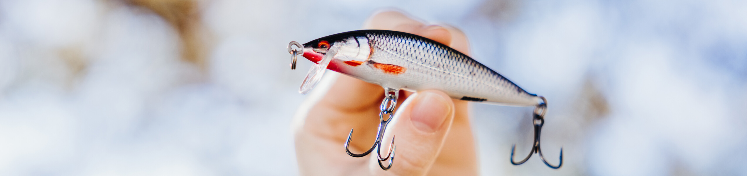 Jerkbait (minnow) Jerkbait (minnow)