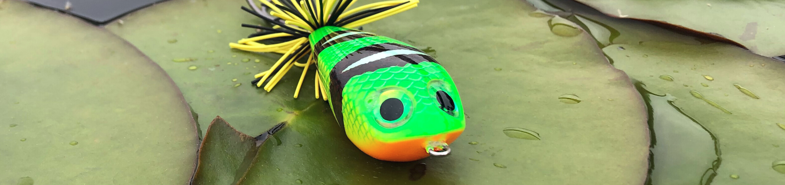 Topwater Topwater