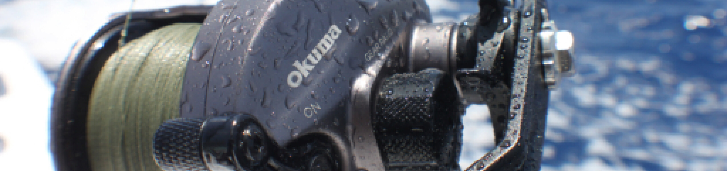 Jigging & Boat Reels Jigging & Boat Reels