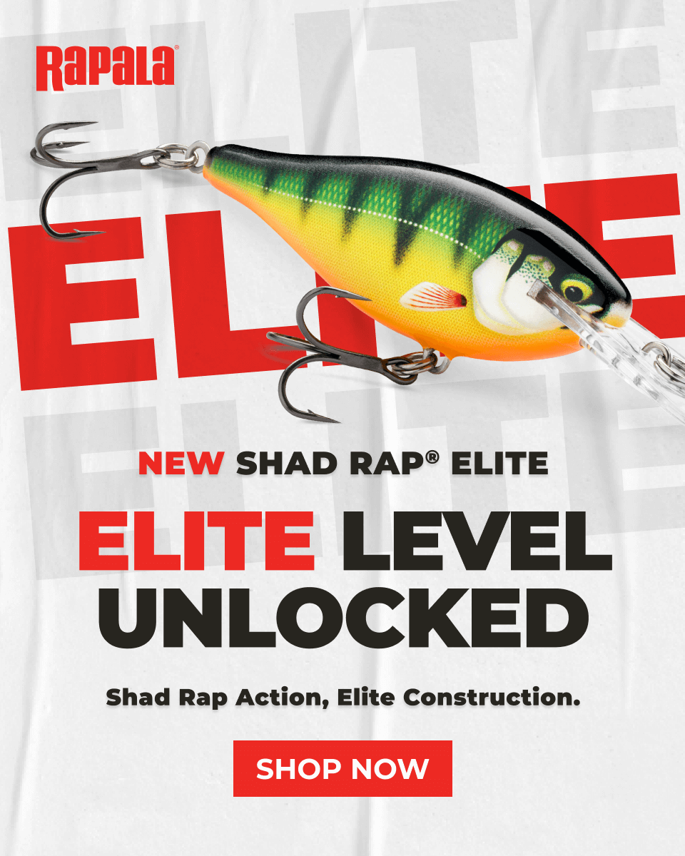 Shad Rap Elite in Action