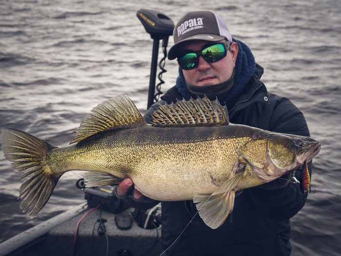 How to Fish Zander with Your Rippin’ Rap